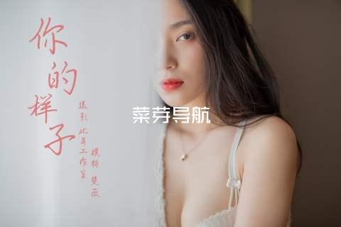 菜芽导航